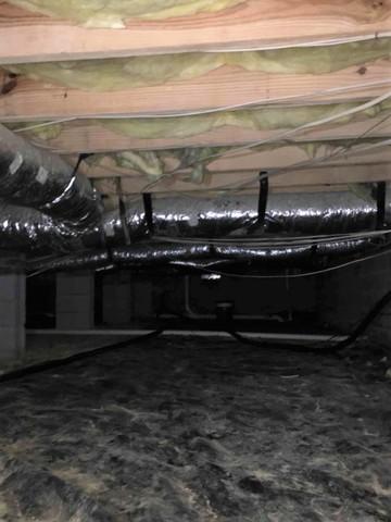 Dirty, Humid, and Sinking Crawl Space Trusses