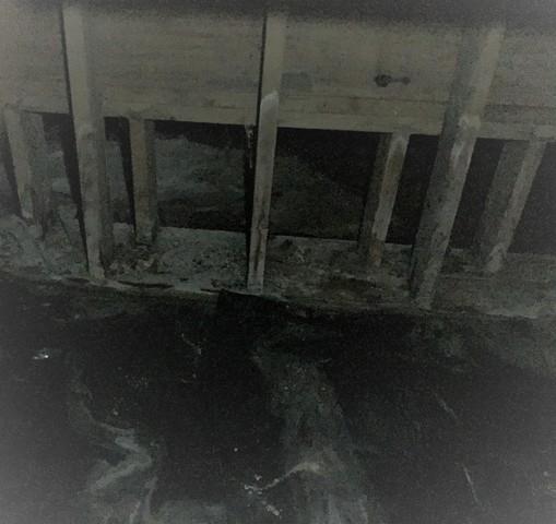 Mold in your crawl space