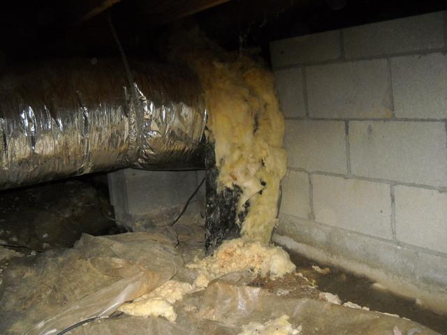 So much moisture!
