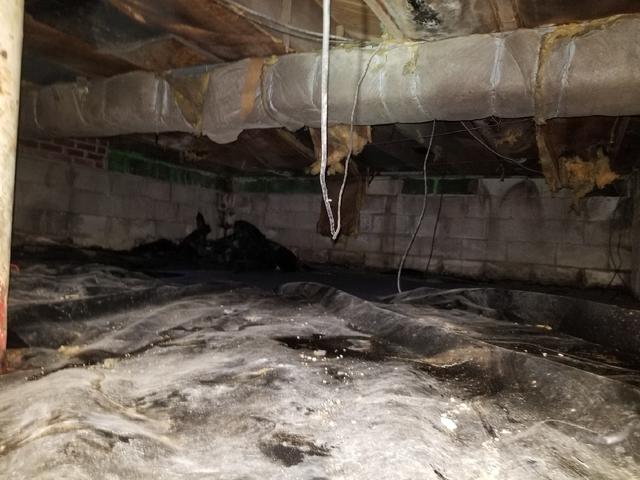 Plastic Barriers Don't Work