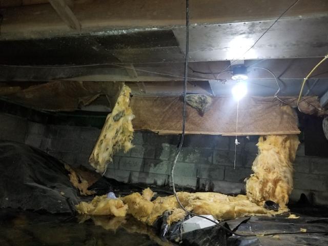 A Very Bad Combination