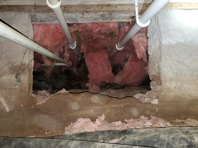 Musty Dirt Crawl Space