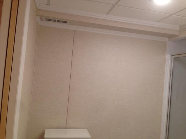 Brand new basement wall paneling!