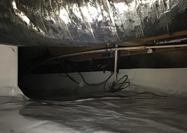 Getting Rid of Mold and Mildew