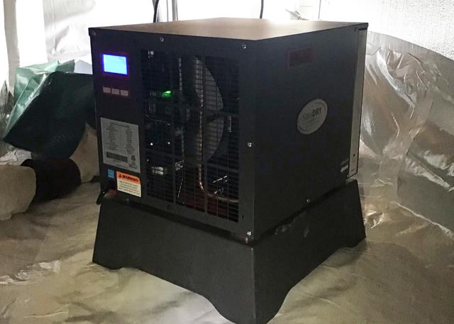 Sedona Dehumidifier