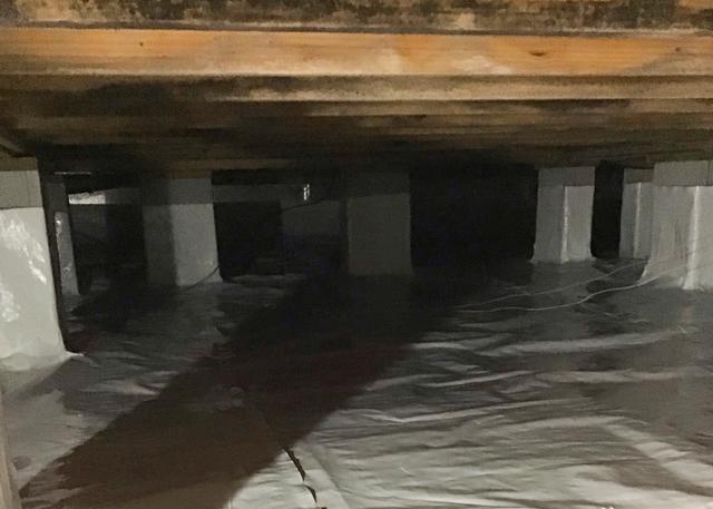 No More Mold or Mildew