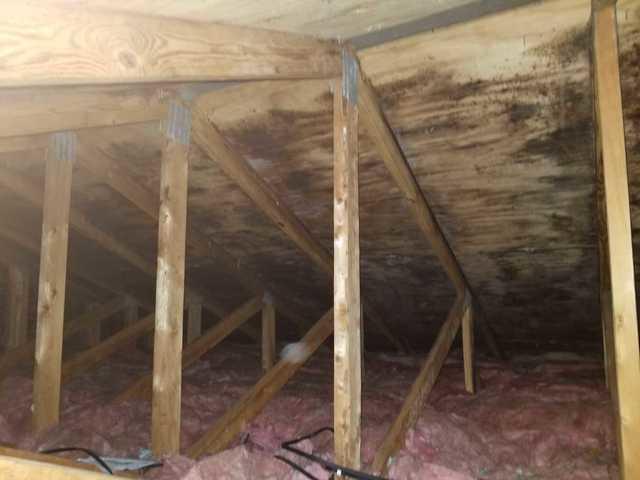 Attic ceiling boards with visual mold