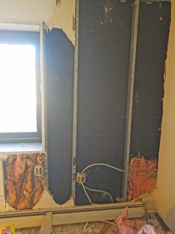 The mold growth had even spread to the family room!