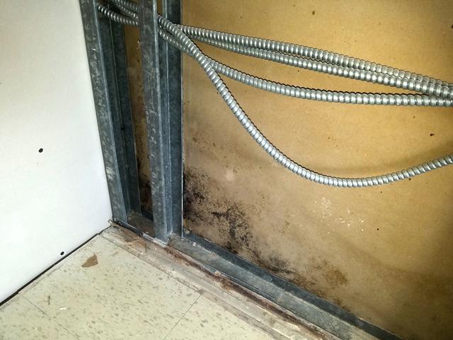 Because the toilet wasn't installed correctly, water had leaked behind the wall and caused severe mold growth.