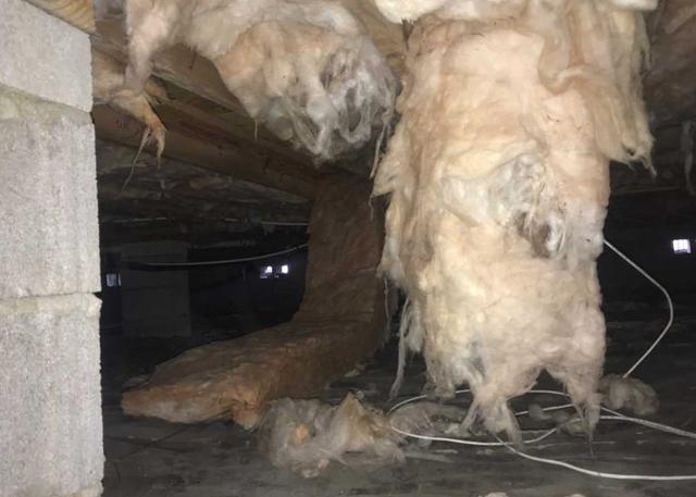 Falling Insulation