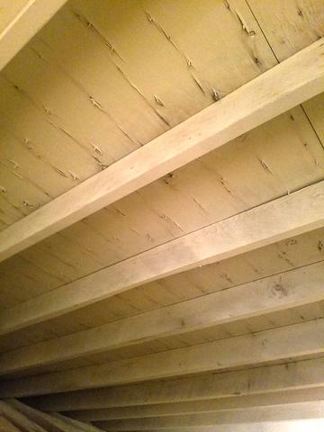 Mold on the Rafters