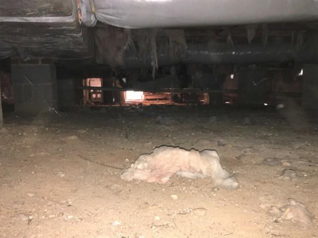 Dirt Crawl Space
