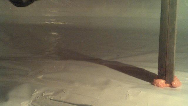Crawl space.