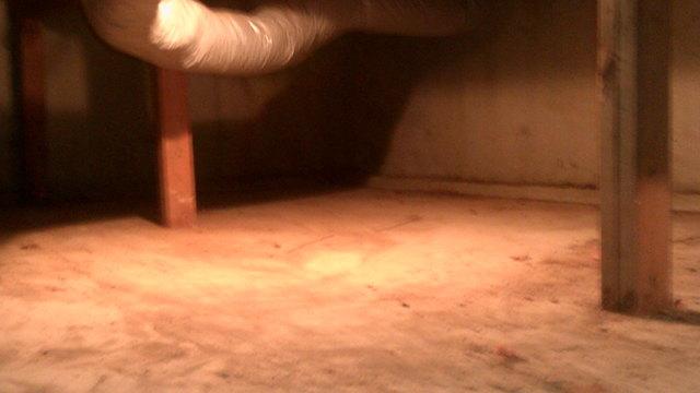 Crawl space.