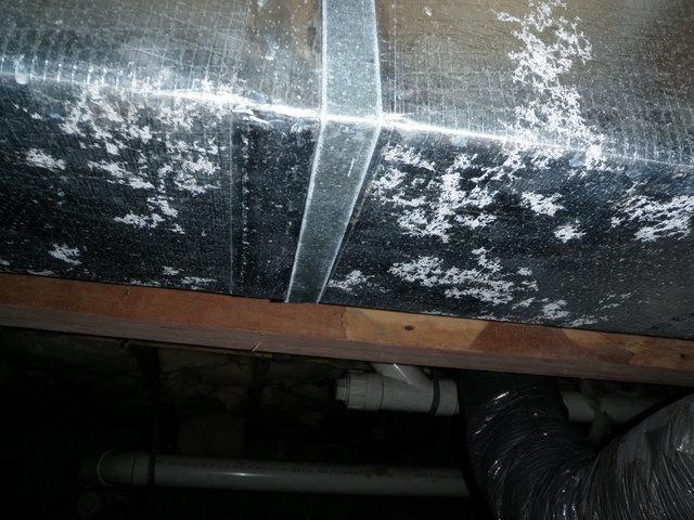 Humid Crawl Space in Felton, DE Damages Duct Work