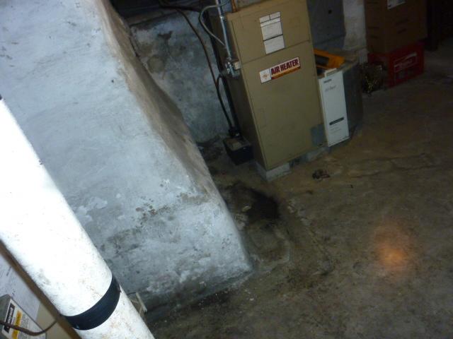 Water damaged basement. 