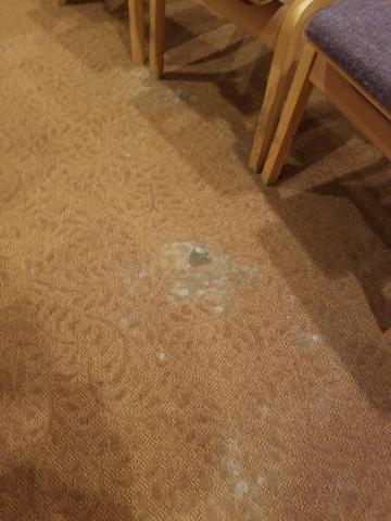 Moisture Plus the Humidity