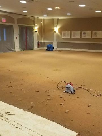 Prevents Mold from Returning