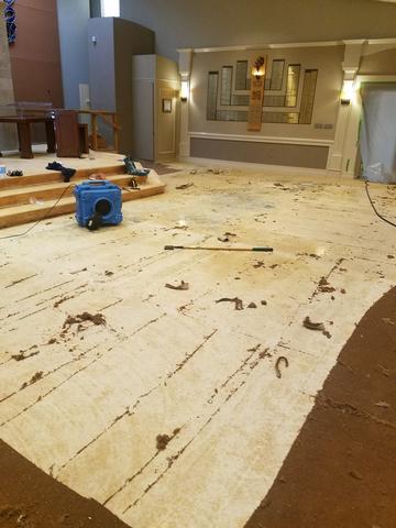 Scrubbed and Encapsulated