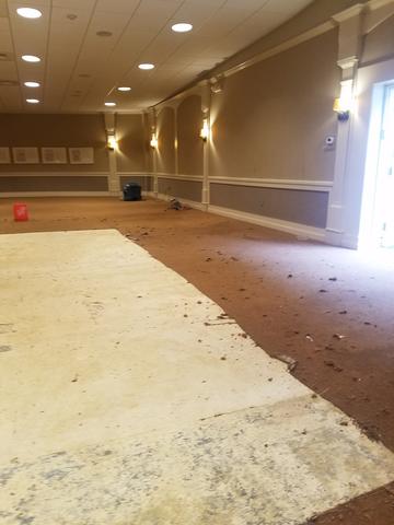 Kills Mold Immediately