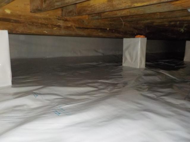 CleanSpace