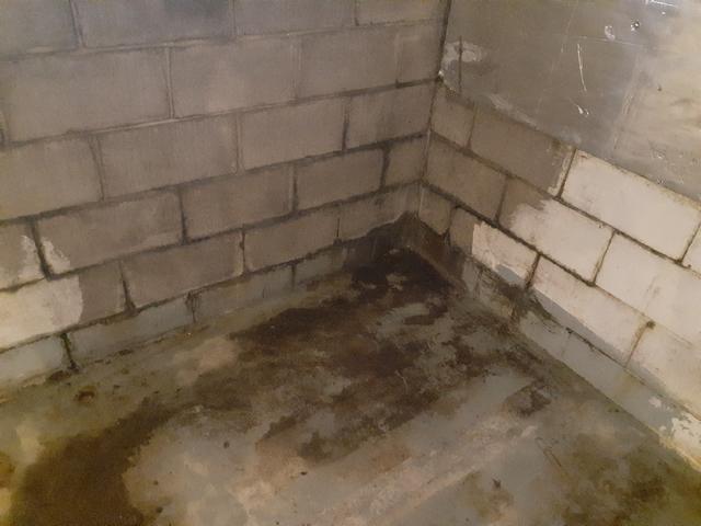 Evidence of Water Around Foundation Blocks