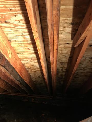 After removing mold damage from the attic's wood beams and ceiling.