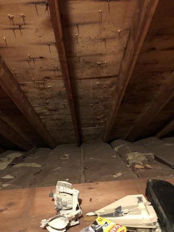 Clear mold and moisture damage