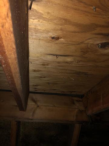 Mold less ceiling