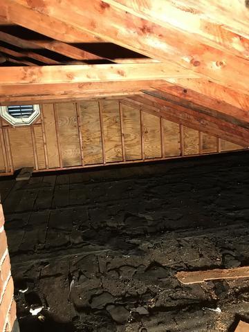 Full attic after mold and moisture removal