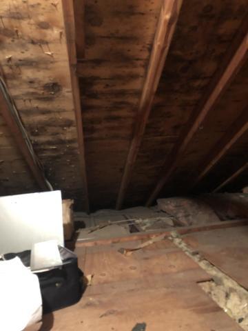 Mold damage before