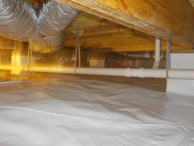 CleanSpace
