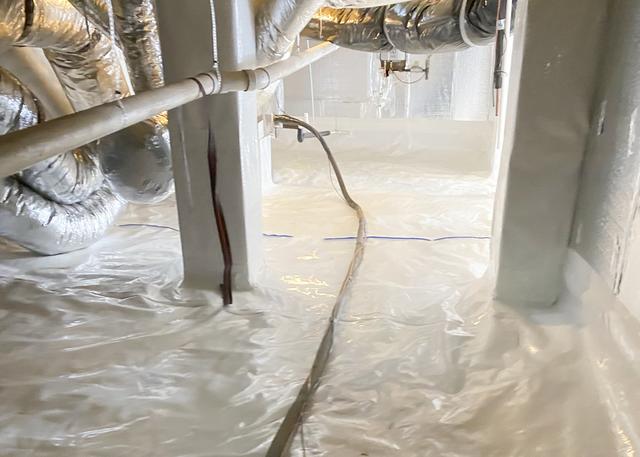 Keeping Bugs and Critters Out of the Crawl Space
