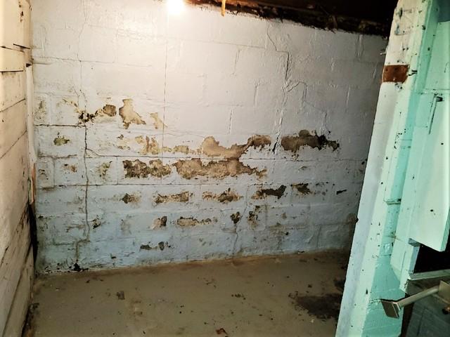 Water Leaking Through Foundation in Duluth, MN