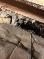 Falling insulation due to moisture