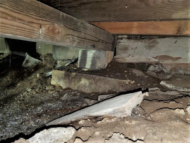 Wet and Musty Crawl Space in Canyon, MN