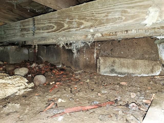 Dirt Crawl Space Effects Air Quality