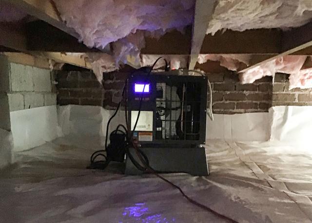 The Sedona Dehumidifier