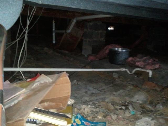 Crawl Space before