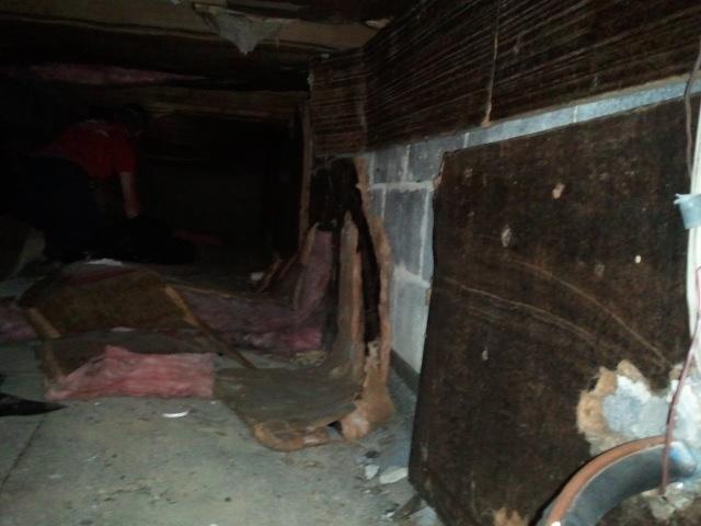 Crawl Space before - rotting insulation