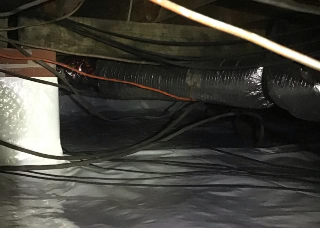 Keeping Pests Out of the Crawl Space