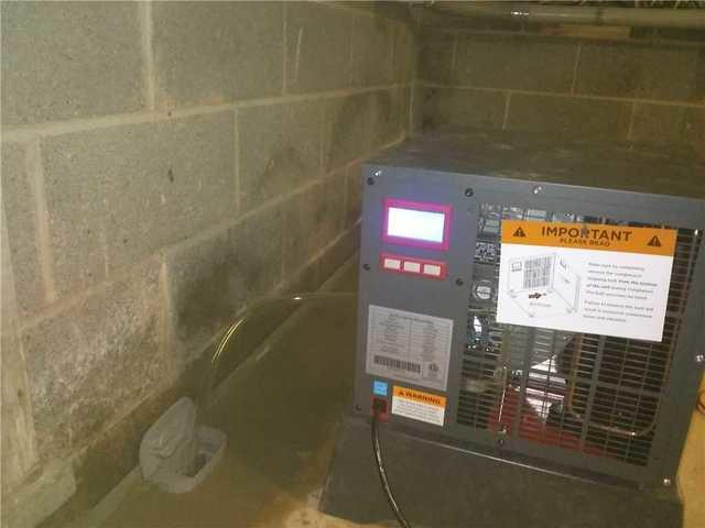 We recommended our SaniDry Dehumidifier to stop moisture and dampness in this basement.