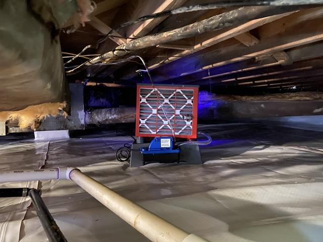 Crawl Space Dehumidifier