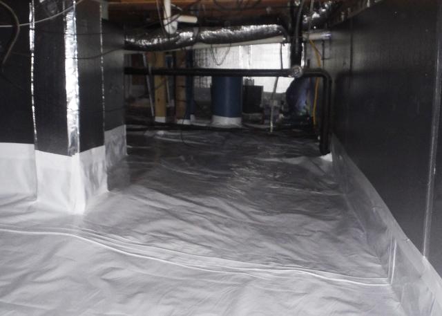 The relative humidity in the crawl space of a home should be less than 55% at which point mold and mildew can not thrive. With the CleanSpace Crawl Space Encapsulation System, Southeast Foundation & Crawl Space Repair can help keep the humidity under 55%.