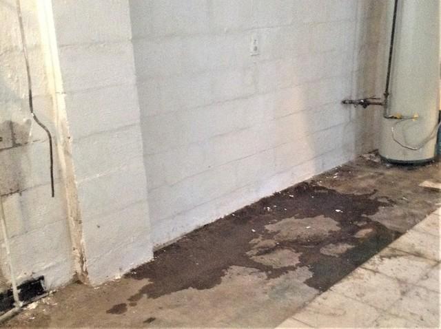 Cracked & Leaking Foundation Waterproofed in Deerfield, MI