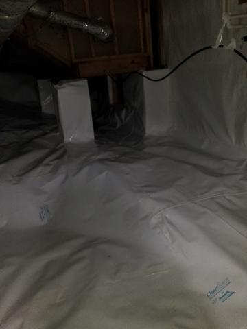 CleanSpace