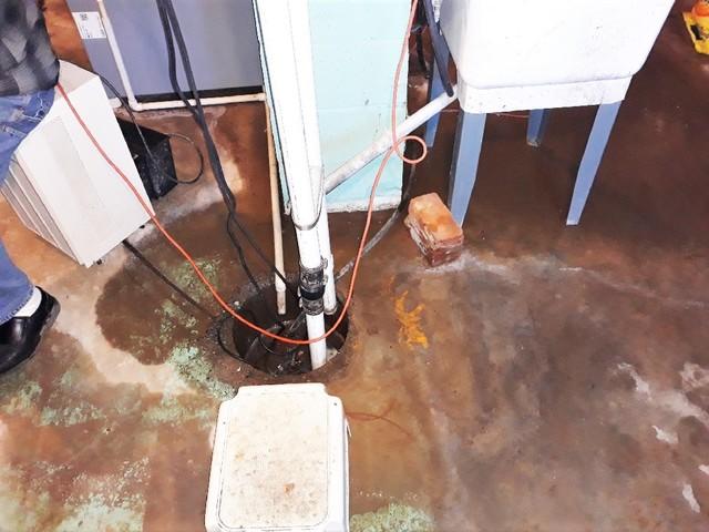 Wet Basement in Withee, WI