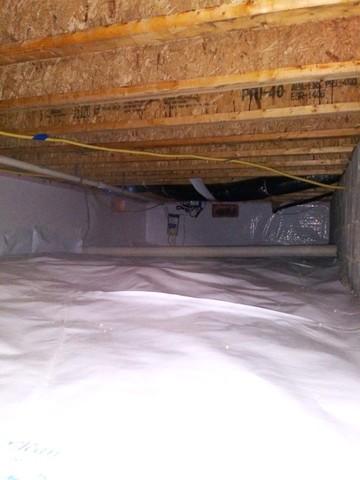 Crawl Space Encapsulation in Albany, IN