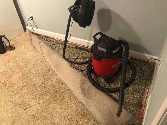 Messy Conditions in Basement