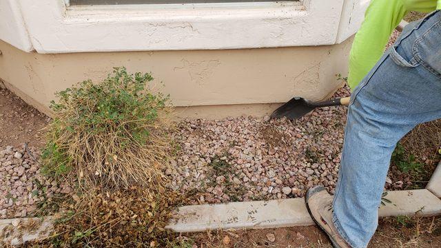 NeverRust Install - Mesa, AZ